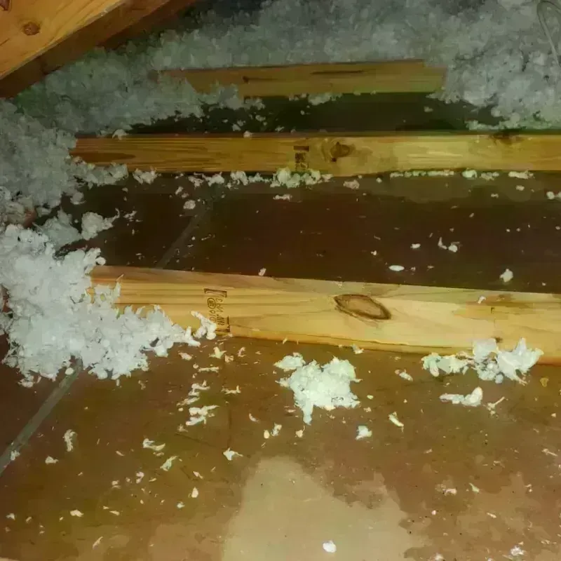 Attic Water Damage in Tahoe Vista, CA