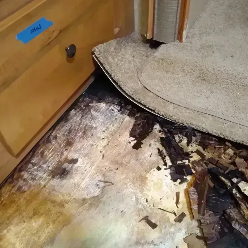 Wood Floor Water Damage in Tahoe Vista, CA